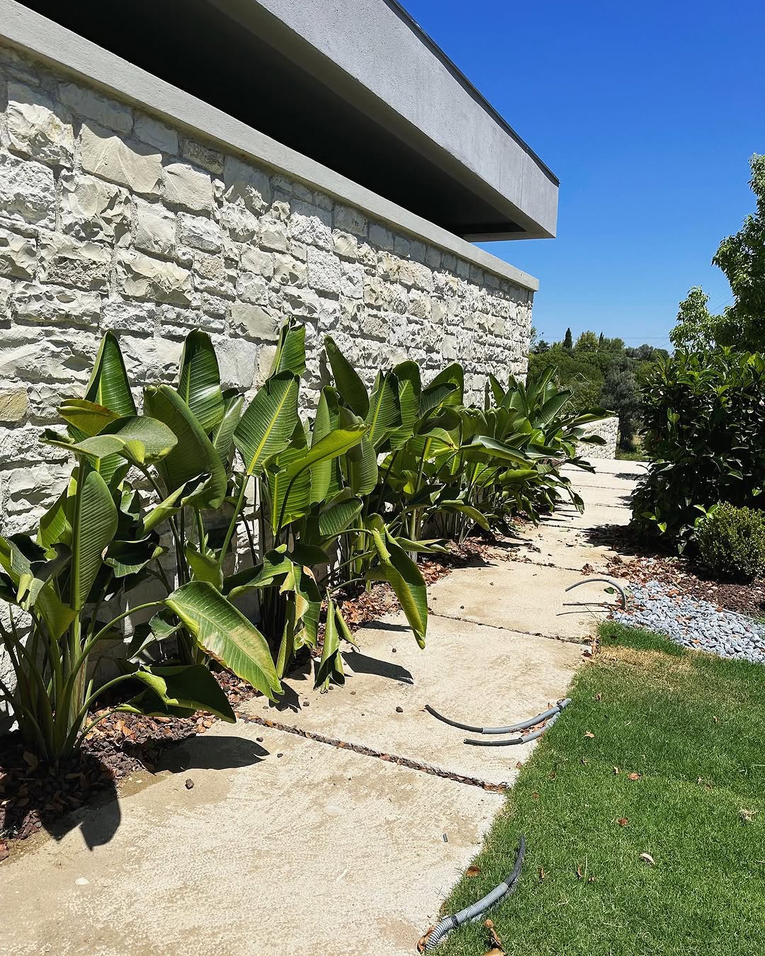 Günay Peyzaj Instagram Post 2